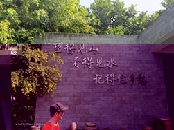 e00efe3c486ae8c3a4b1aac12daab49